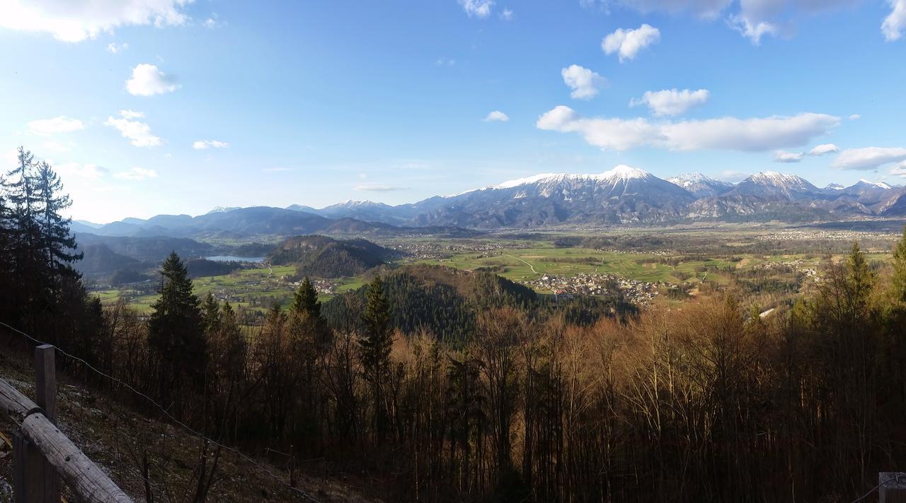 Bed and Breakfast Koca Na Talezu Ribno Exterior foto