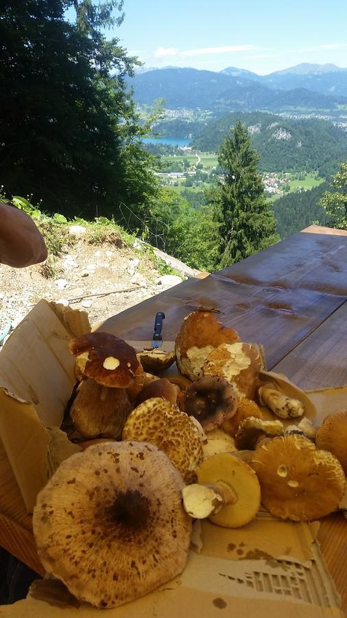 Bed and Breakfast Koca Na Talezu Ribno Exterior foto
